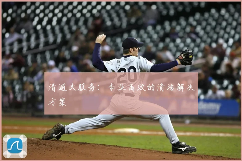 清道夫服务：专业高效的清洁解决方案