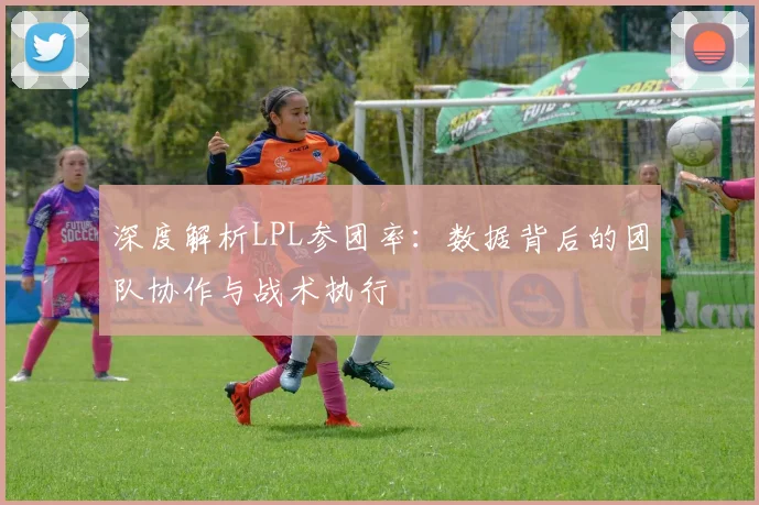深度解析LPL参团率：数据背后的团队协作与战术执行