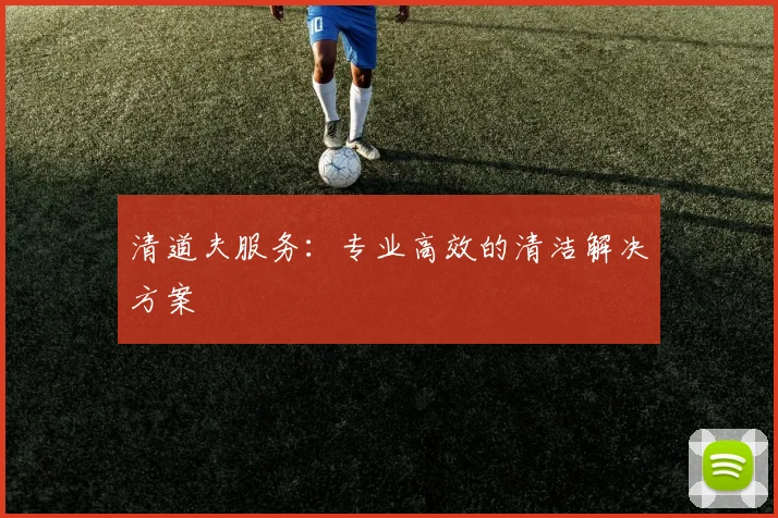 清道夫服务：专业高效的清洁解决方案
